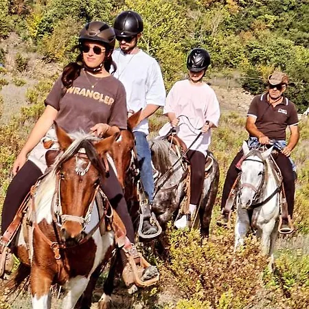 Funky Boutique & Adventures بيت ضيافة