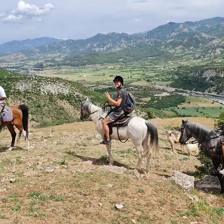 Funky Boutique & Adventures 3* Πρεμετή