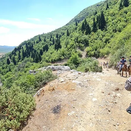 Πανσιόν Funky Boutique & Adventures Πρεμετή