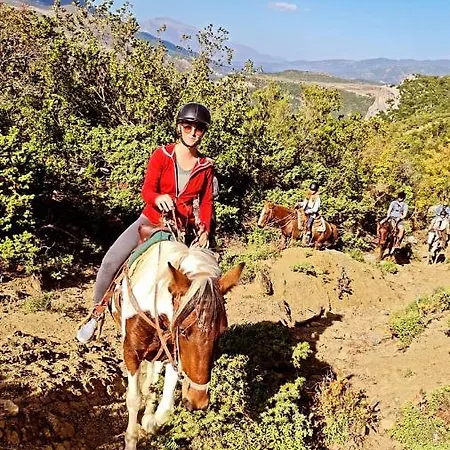 Πανσιόν Funky Boutique & Adventures 3*