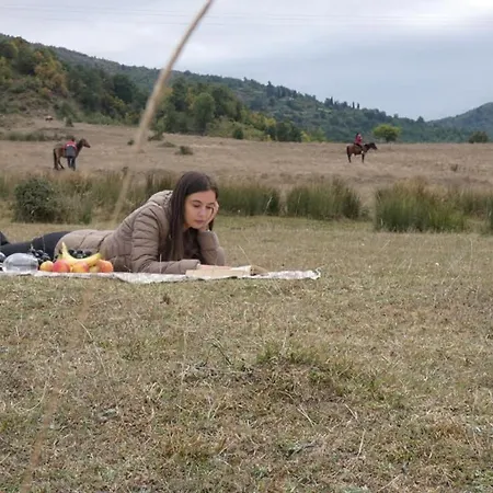 Funky Boutique & Adventures بيت ضيافة 3*