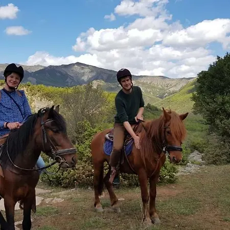 Πανσιόν Funky Boutique & Adventures Πρεμετή