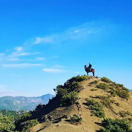 Funky Boutique & Adventures Πανσιόν Πρεμετή