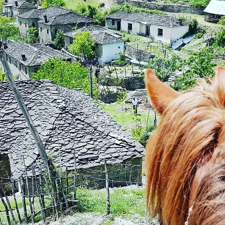 Πανσιόν Funky Boutique & Adventures