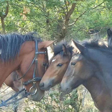 Funky Boutique & Adventures Πανσιόν 3*