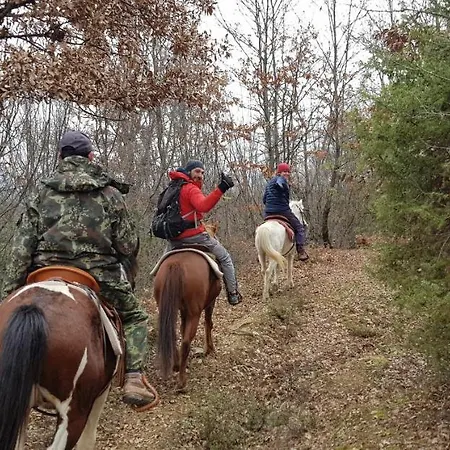 بيت ضيافة Funky Boutique & Adventures 3*