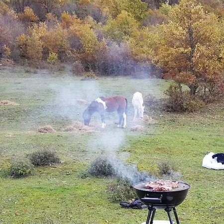 Πανσιόν Funky Boutique & Adventures Πρεμετή