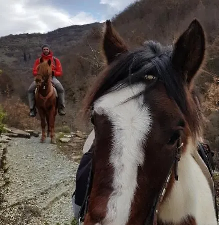 Funky Boutique & Adventures Πανσιόν