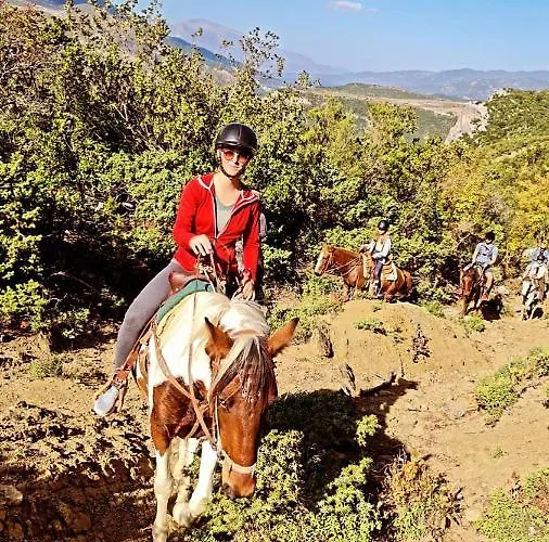 Guest house Funky Boutique & Adventures 3*