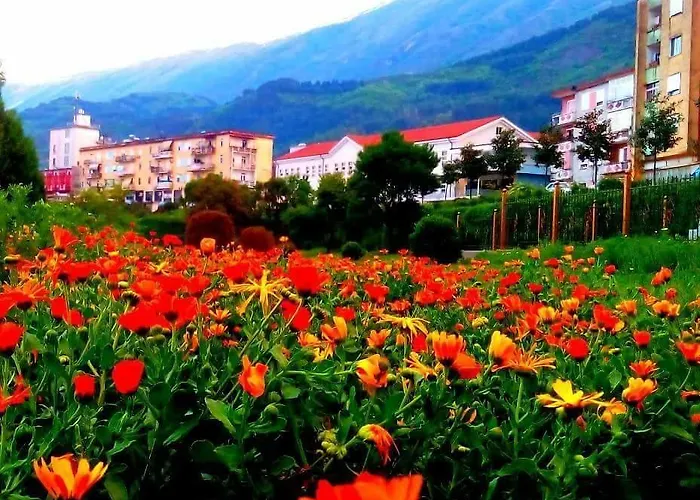 Guest house Funky Boutique & Adventures 3*