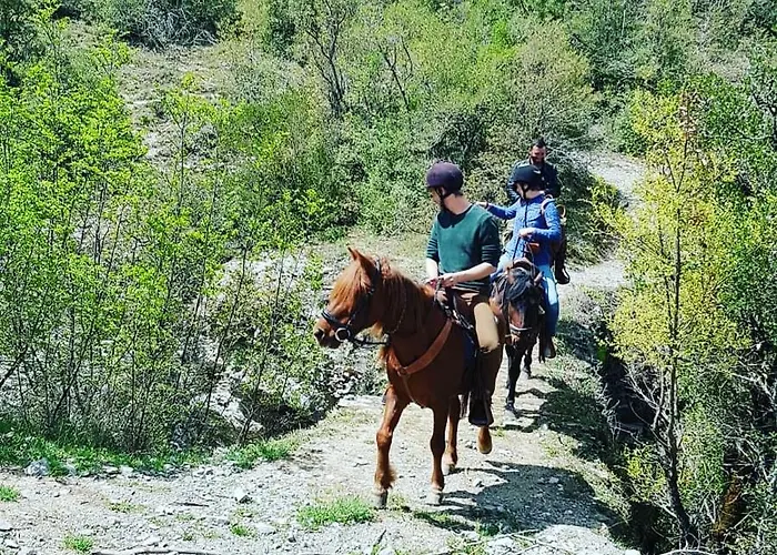 Guest house Funky Boutique & Adventures