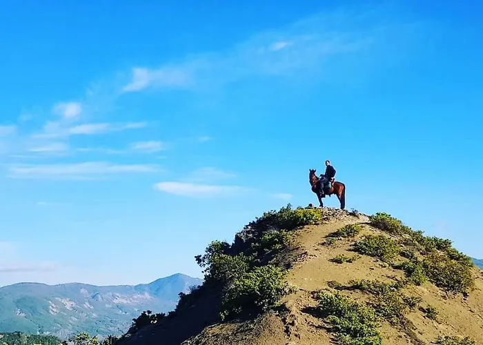 Funky Boutique & Adventures Guest house Permet