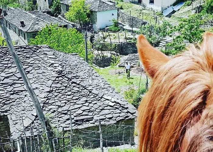 Guest house Funky Boutique & Adventures