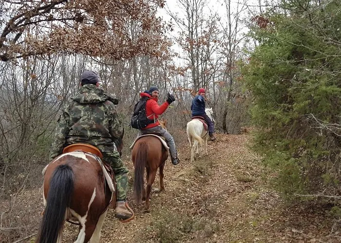 بيت ضيافة Funky Boutique & Adventures 3*