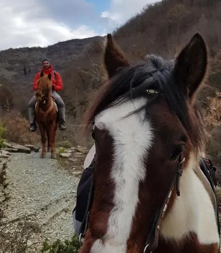 Funky Boutique & Adventures بيت ضيافة